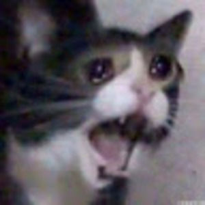 Meet your Posher, Tia